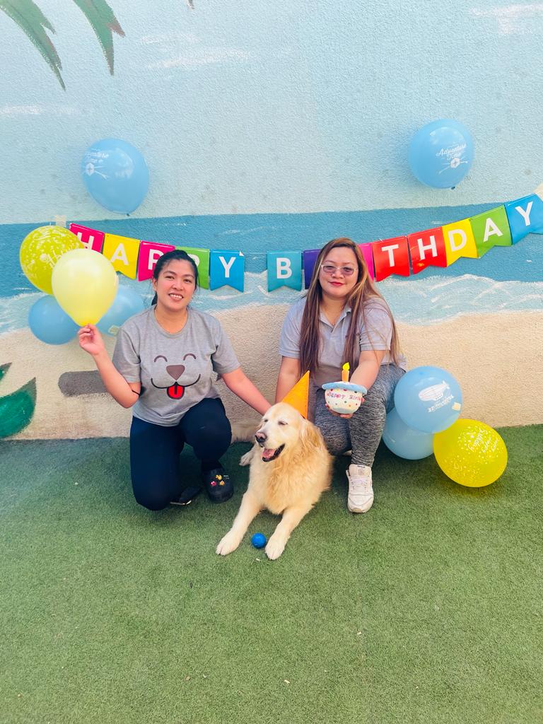 My Buddy Pet Care Best pet care in Dubai